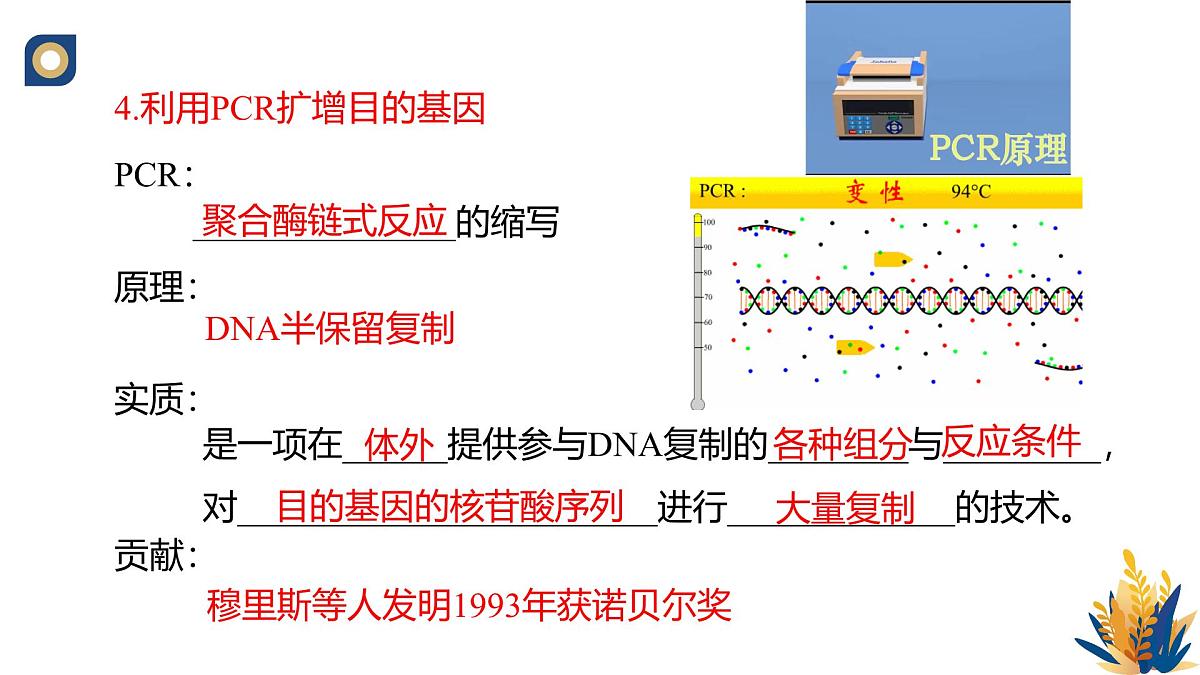 人教版高中生物 选修3《3-2 基因工程的操作程序(第2课时)》教学课件第2页