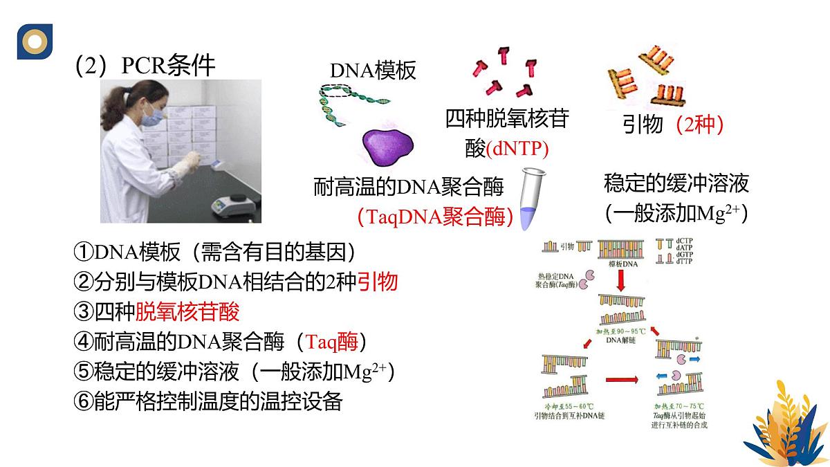 人教版高中生物 选修3《3-2 基因工程的操作程序(第2课时)》教学课件第4页