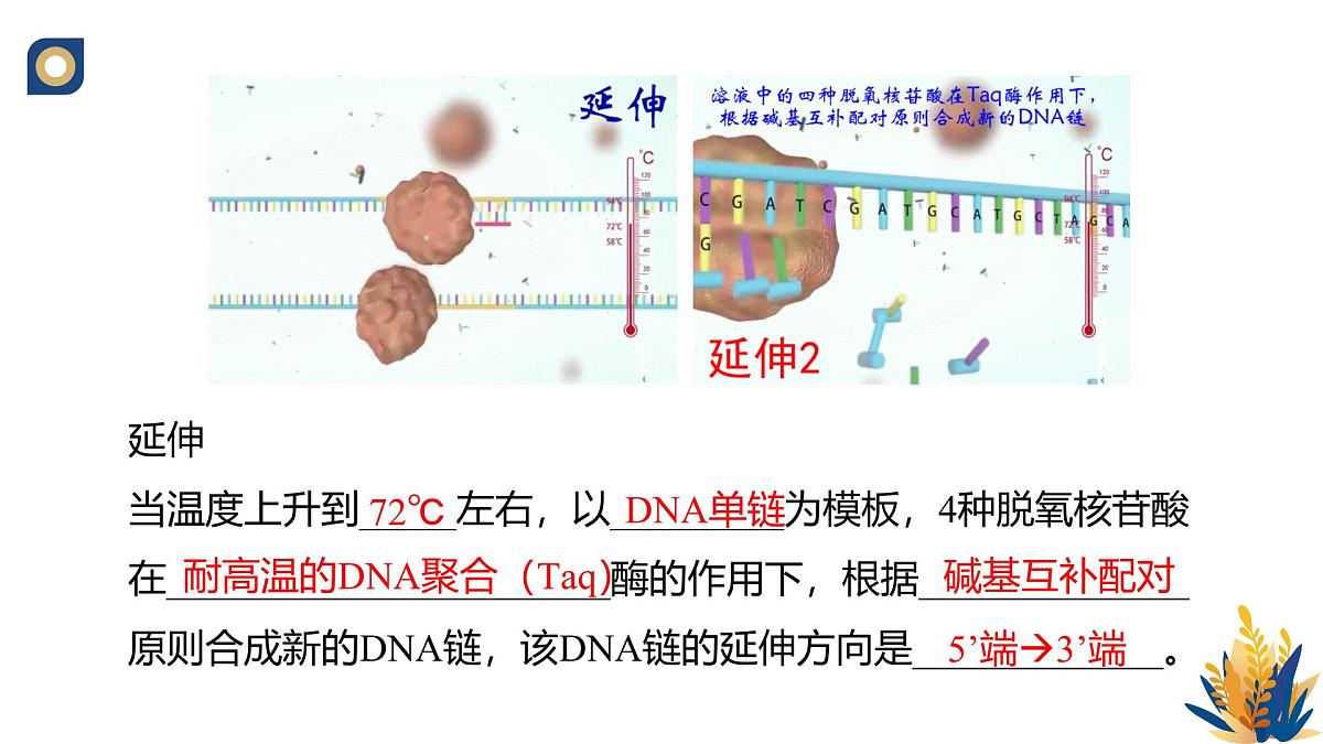 人教版高中生物 选修3《3-2 基因工程的操作程序(第2课时)》教学课件第6页