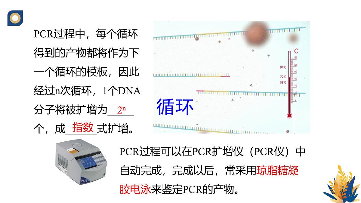 人教版高中生物 选修3《3-2 基因工程的操作程序(第2课时)》教学课件第7页