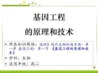 浙科版高中生物选修3 1-2《基因工程的原理和技术》课件