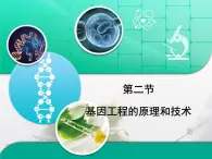 浙科版高中生物选修3 1-2《基因工程的原理和技术》课件