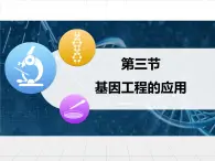 浙科版高中生物选修3 1-2《基因工程的应用》教学课件