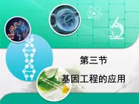 浙科版高中生物选修3 1-2《基因工程的应用》课件