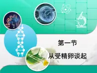 浙科版高中生物选修3 3-1《从受精卵谈起》复习课件
