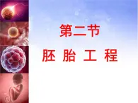 浙科版高中生物选修3 3-2《胚胎工程的应用（第2课时）》课件