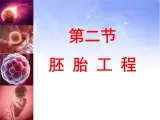 浙科版高中生物选修3 3-2《胚胎工程的应用（第2课时）》课件