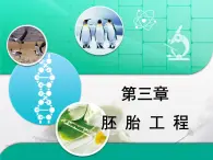 浙科版高中生物选修3 3-2《胚胎工程》复习课件