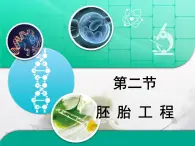 浙科版高中生物选修3 3-2《胚胎工程》课件