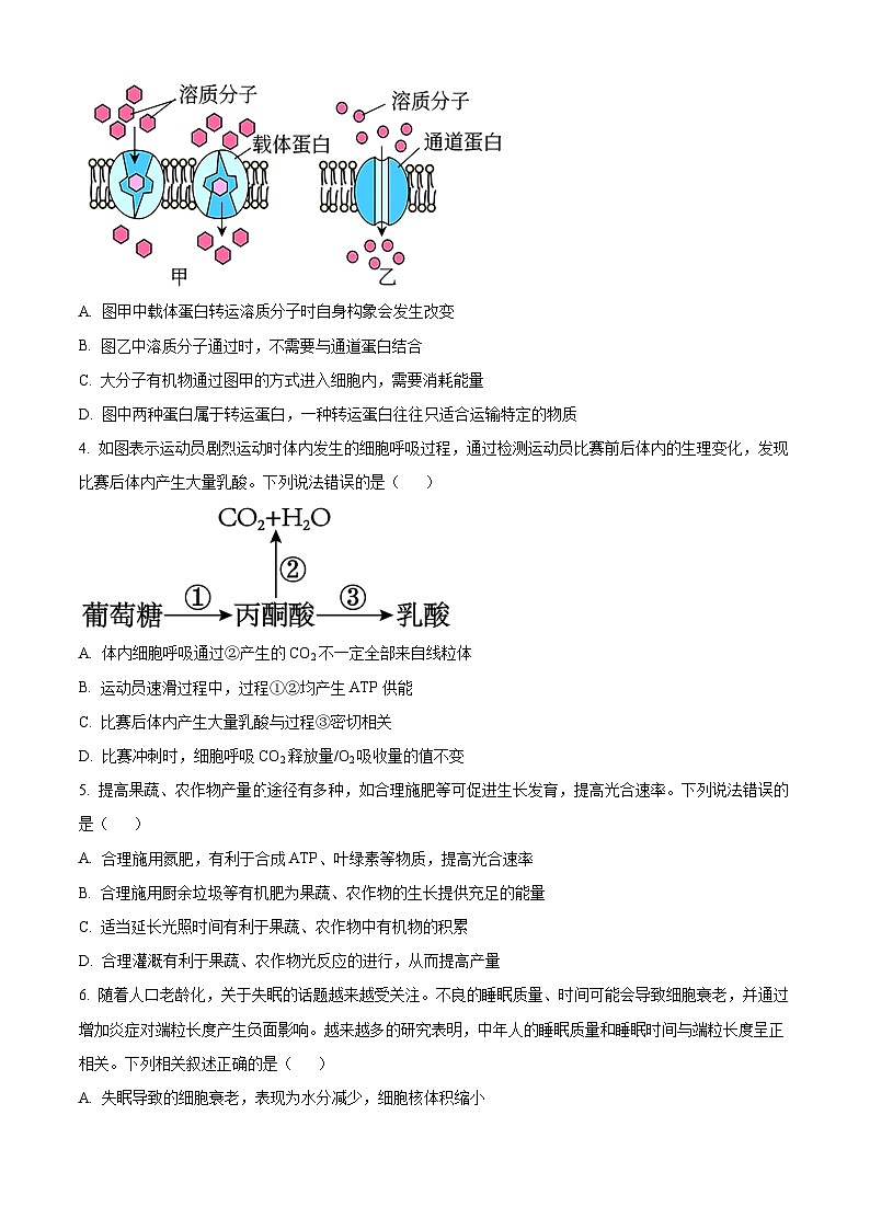 人教版高二下学期期末质量检测生物试题 (原卷版)第2页