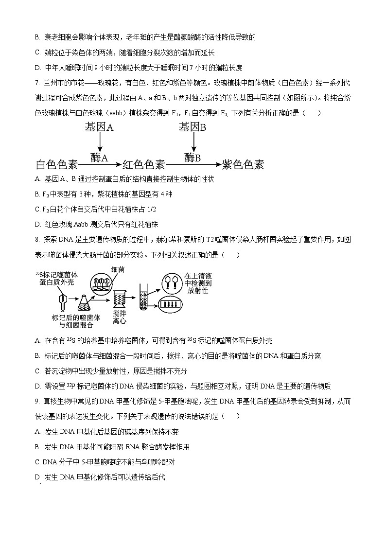 人教版高二下学期期末质量检测生物试题 (原卷版)第3页
