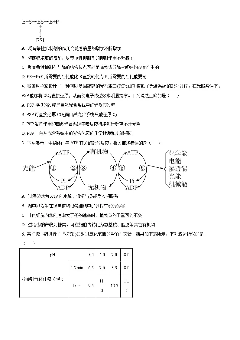 人教版高二下学期期末生物试题(原卷版 无答案)第2页