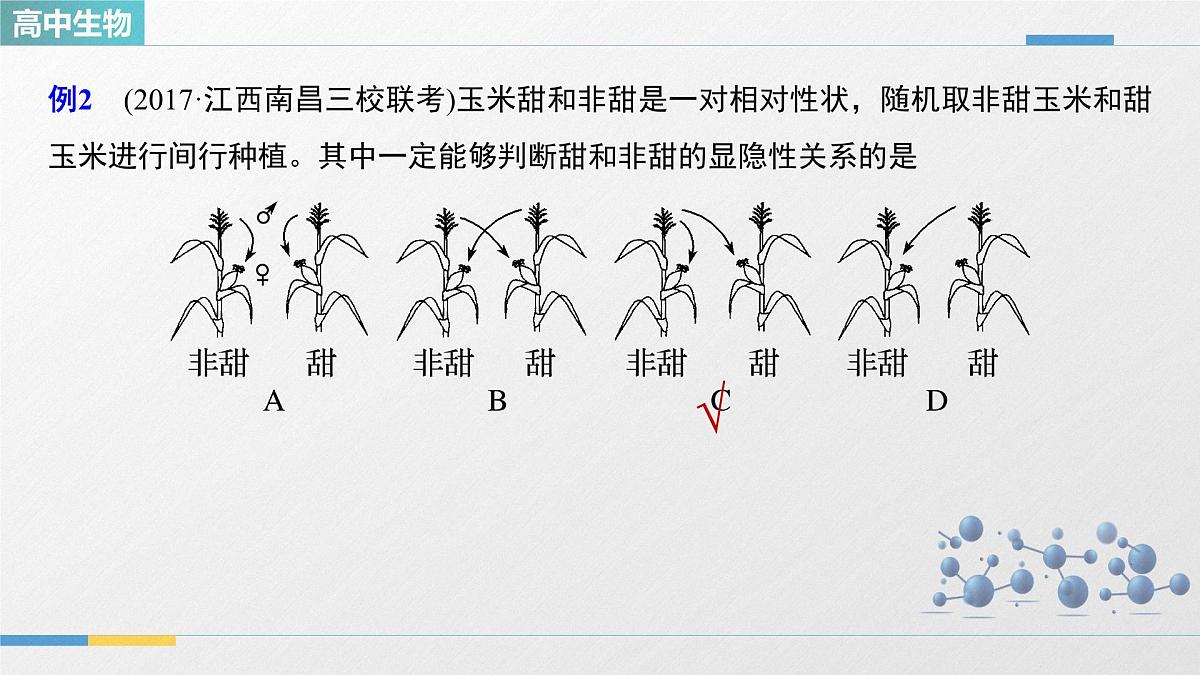 人教版高中生物必修2 第一章《微专题一 分离定律的应用》教学课件第4页