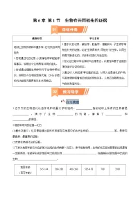 人教版 (2019)必修2《遗传与进化》生物有共同祖先的证据精练