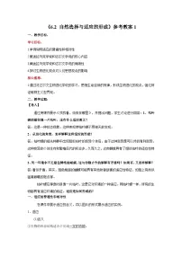 高中自然选择与适应的形成教案及反思