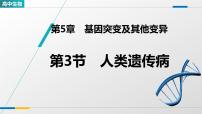 人教版 (2019)必修2《遗传与进化》人类遗传病教学课件ppt
