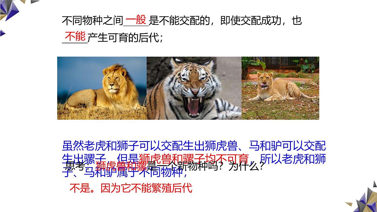 人教版高中生物必修2《6-3-2 种群基因组成的变化与物种的形成》课件第8页