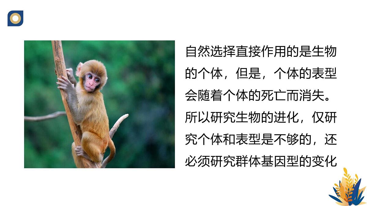 人教版高中生物必修2《种群基因组成的变化与物种的形成(第一课时)》教学课件第4页
