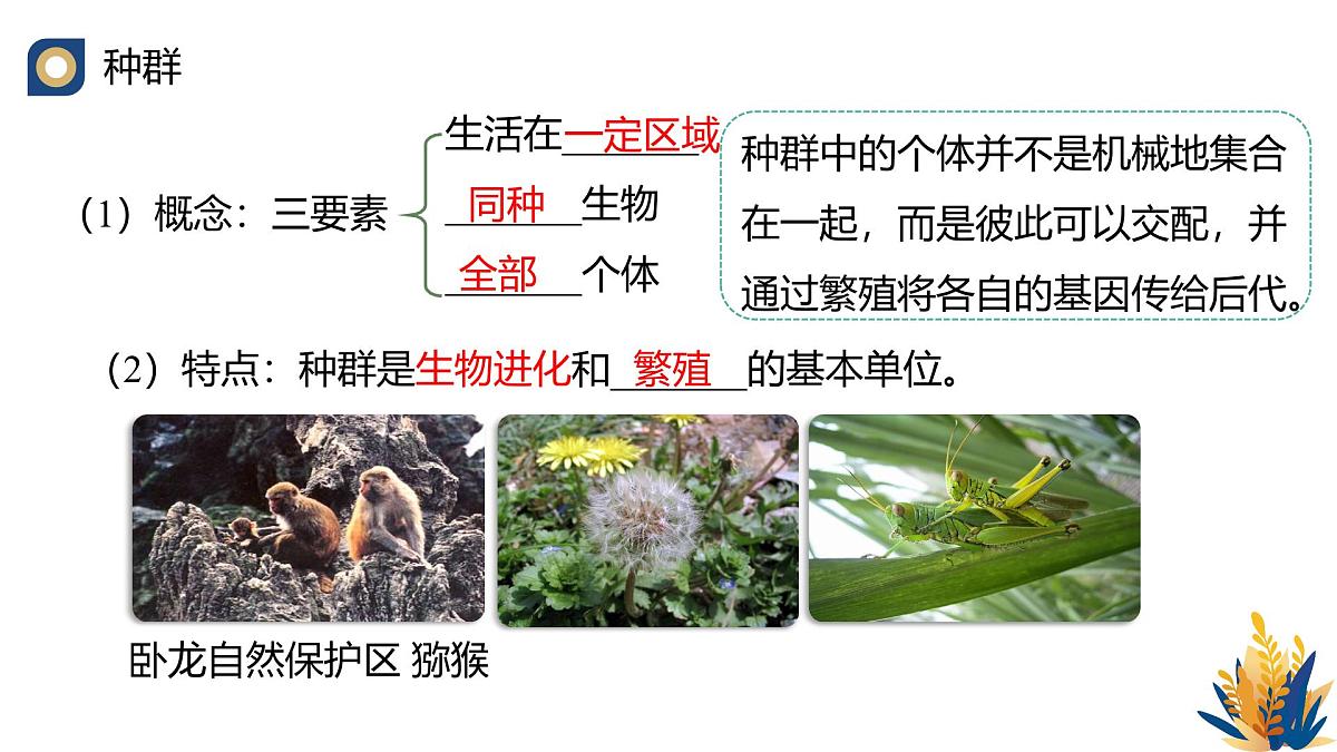 人教版高中生物必修2《种群基因组成的变化与物种的形成(第一课时)》教学课件第5页