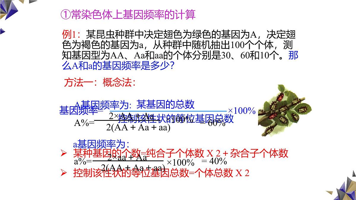 人教版高中生物必修2《6-3-1种群基因组成的变化与物种的形成》课件第6页