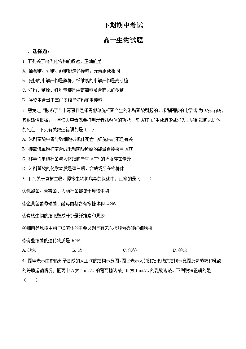 高一下学期期中人教版生物试题 无答案第1页