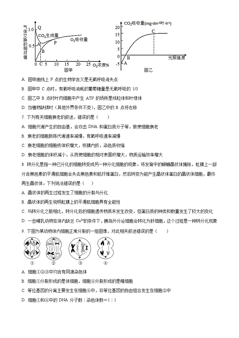 高一下学期期中人教版生物试题 无答案第3页