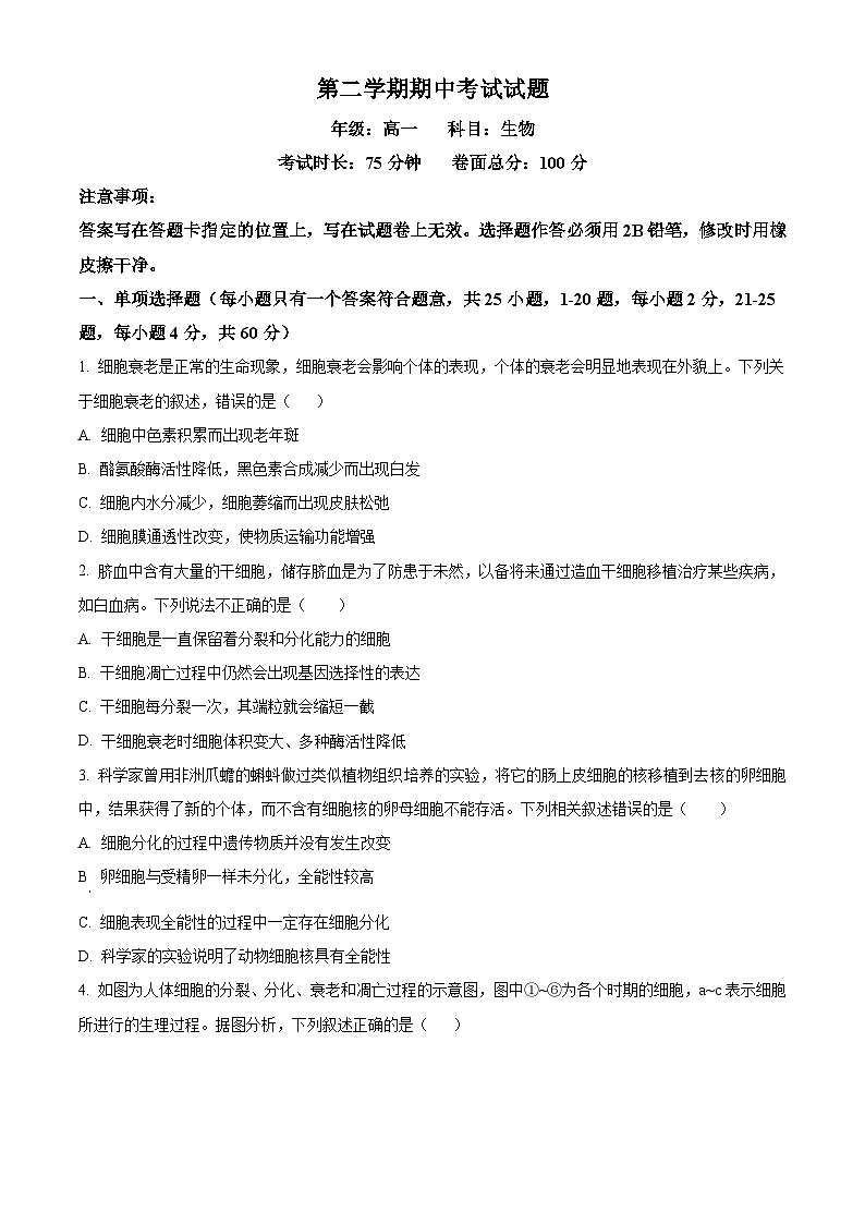 高一下学期期中人教版生物试题 无答案第1页