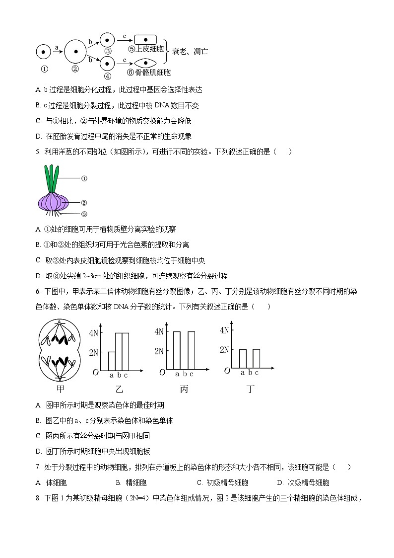 高一下学期期中人教版生物试题 无答案第2页