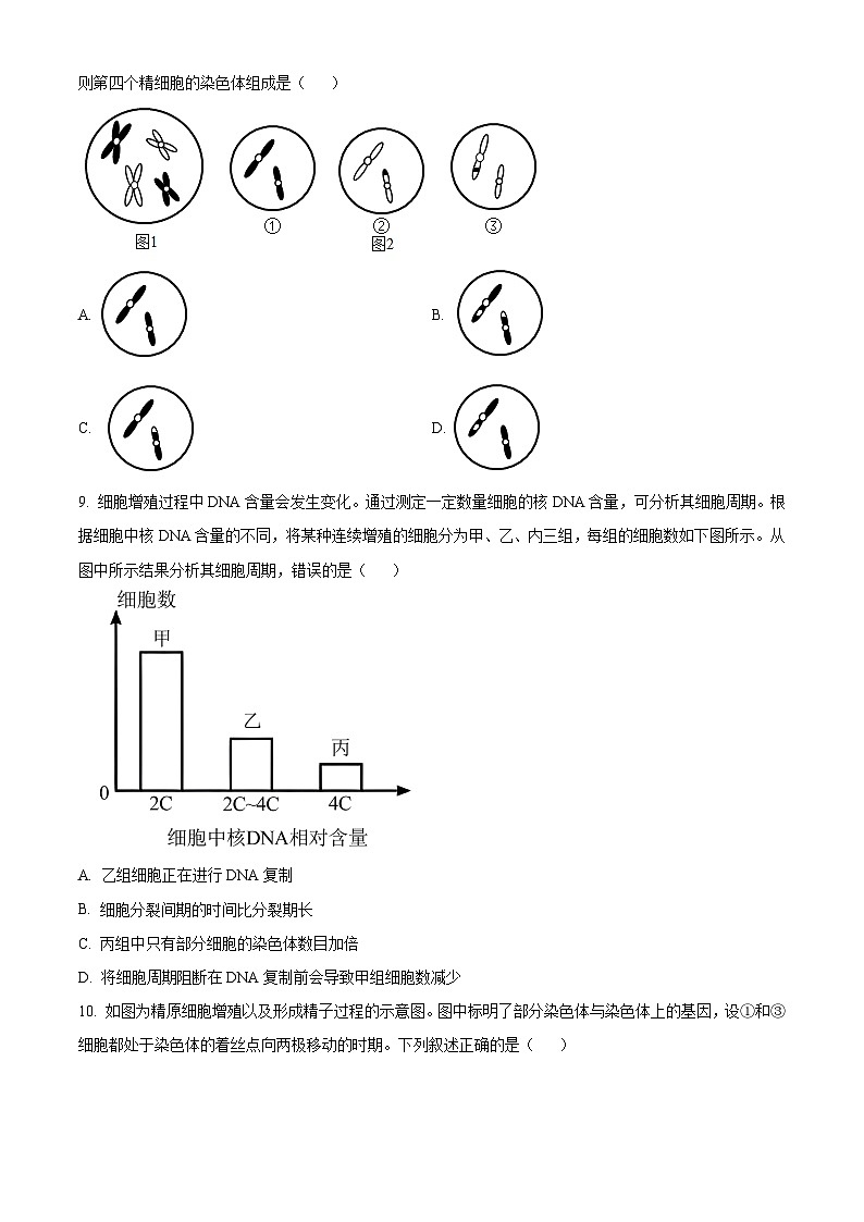 高一下学期期中人教版生物试题 无答案第3页