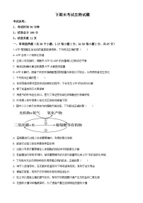 高一下学期期末人教版生物试题（原卷版 无答案）
