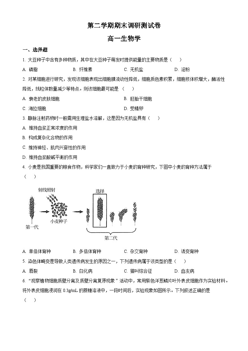 高一下学期期末调研测试人教版生物试题(原卷版 无答案)第1页