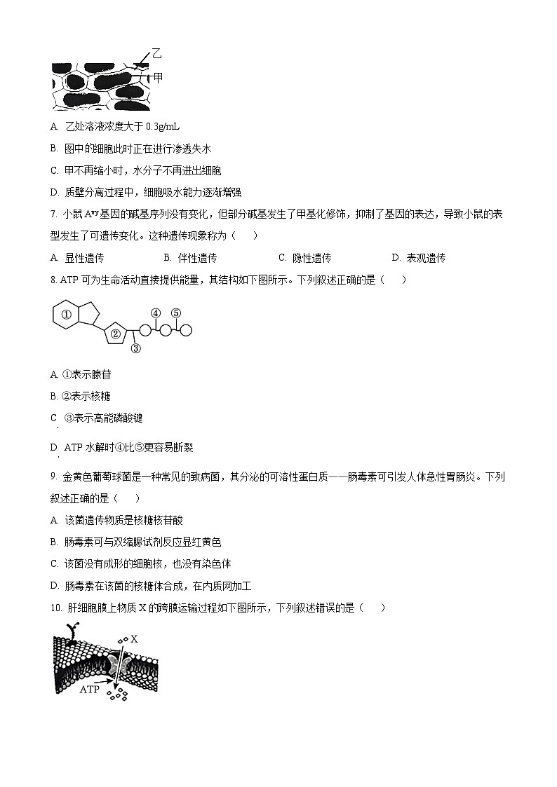 高一下学期期末调研测试人教版生物试题(原卷版 无答案)第2页