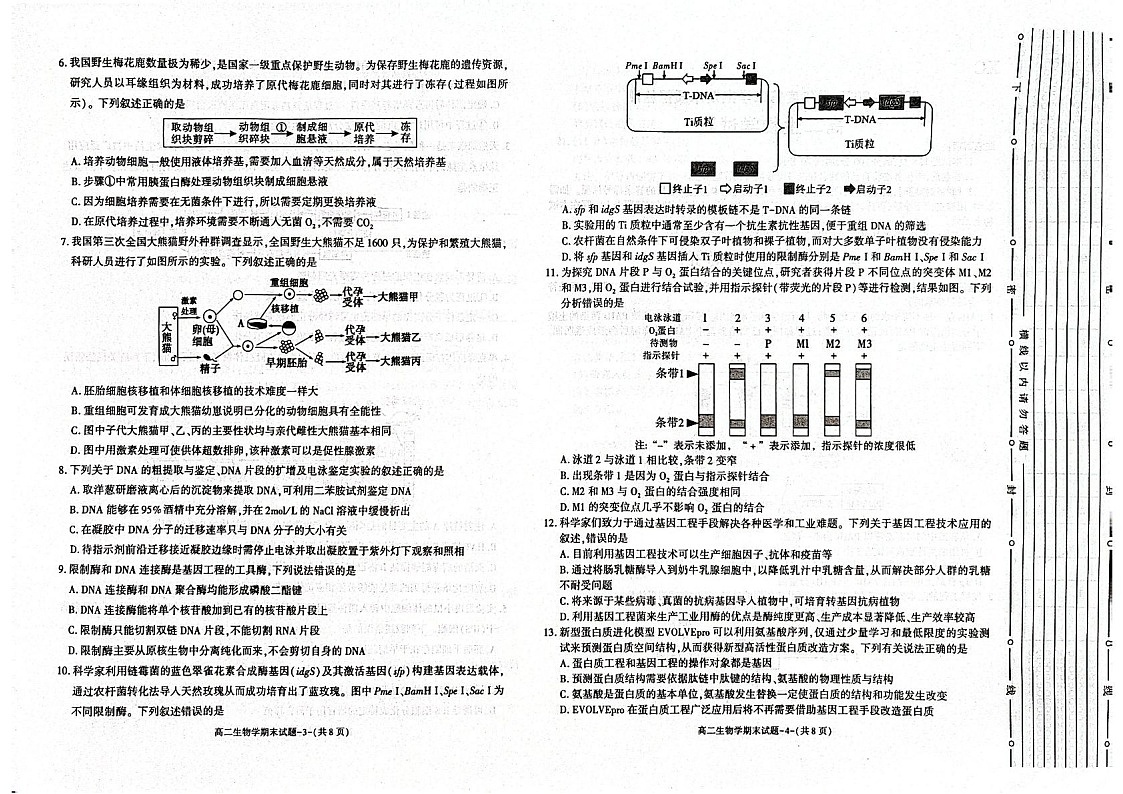 陕西省西安市2024-2025学年高二下学期7月期末考试生物试卷第2页