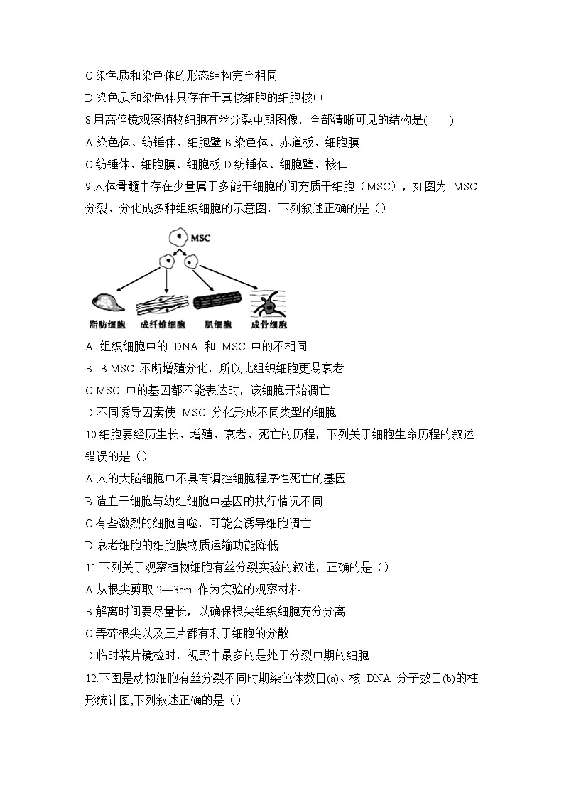 人教版高中生物必修1《第六章_细胞的生命历程》单元测试 含答案解析第2页