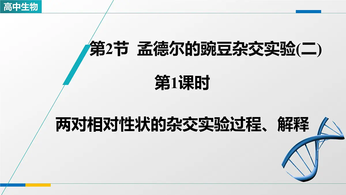 人教版高中生物必修2 1-2《孟德尔的豌豆杂交实验(二)_第1课时》教学课件第1页