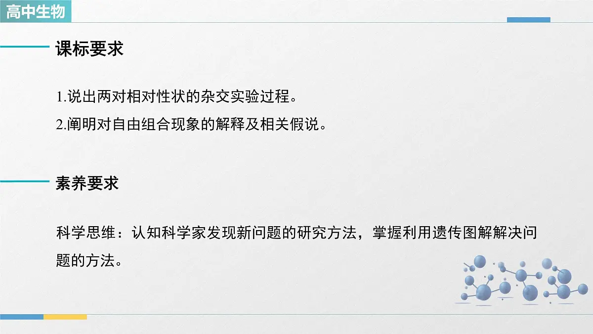 人教版高中生物必修2 1-2《孟德尔的豌豆杂交实验(二)_第1课时》教学课件第2页