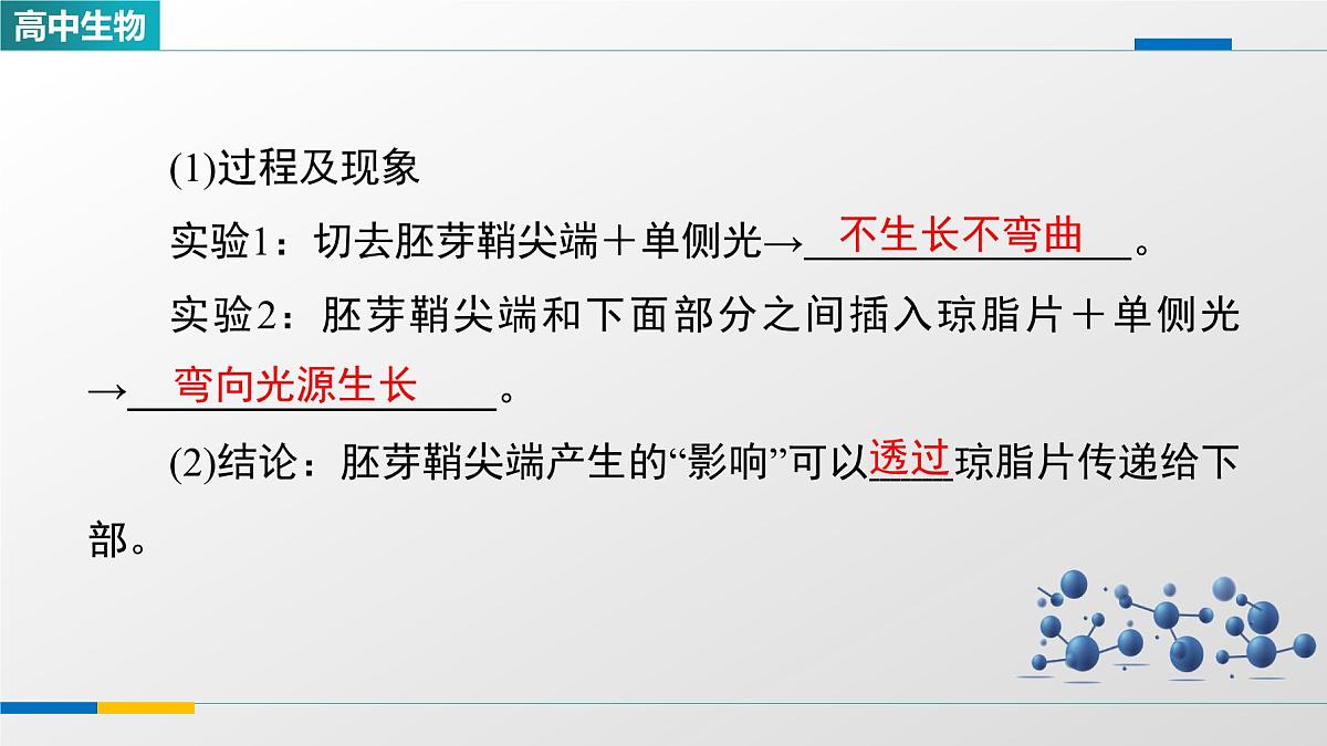 人教版高中生物选修1《5-1植物生长素》课件第8页