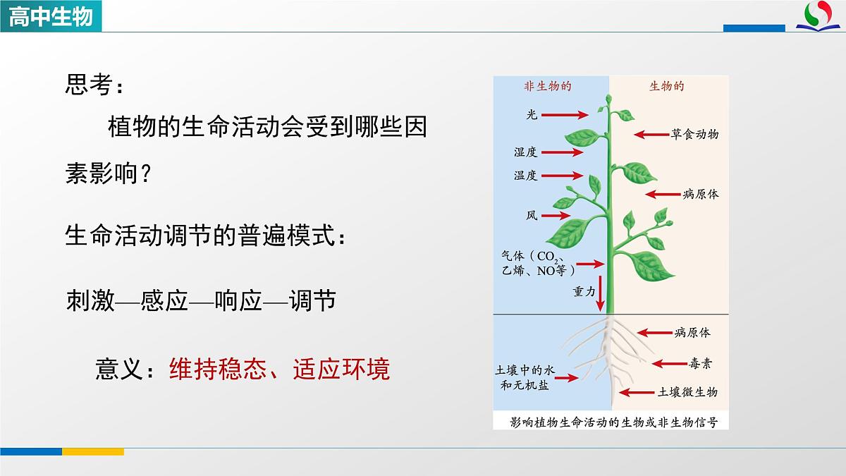 人教版高中生物选修1 5-1《植物生长素(第一课时)》课件第5页