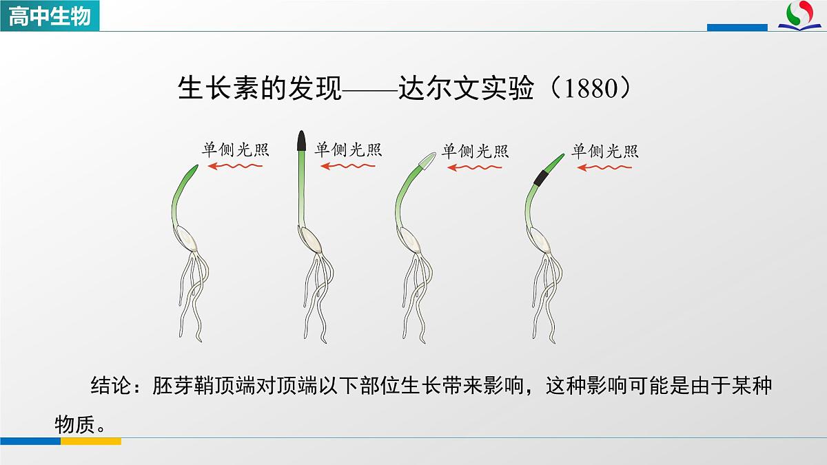 人教版高中生物选修1 5-1《植物生长素(第一课时)》课件第8页
