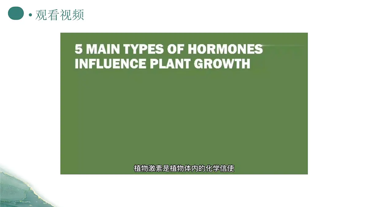 人教版高中生物选修1《5-2 其他植物激素》课件第7页