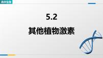 人教版 (2019)其他植物激素课文内容ppt课件