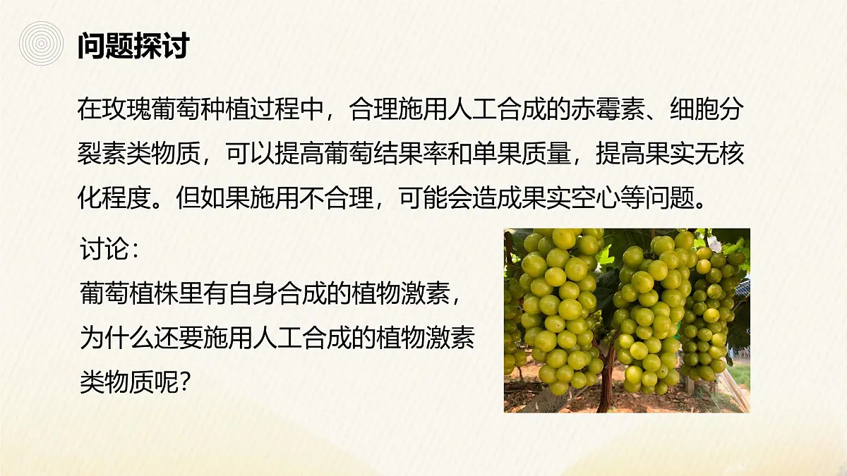 人教版高中生物选修1《5-3 植物生长调节剂的应用》课件第2页