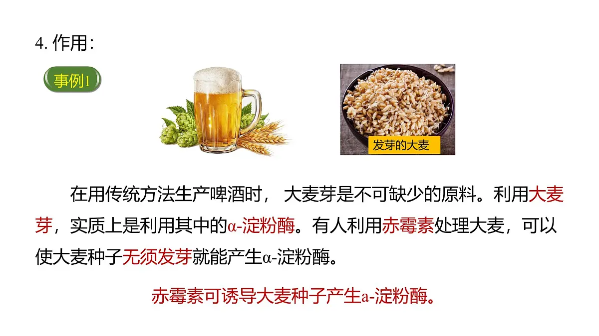 人教版高中生物选修1《5-3 植物生长调节剂的应用》课件第8页