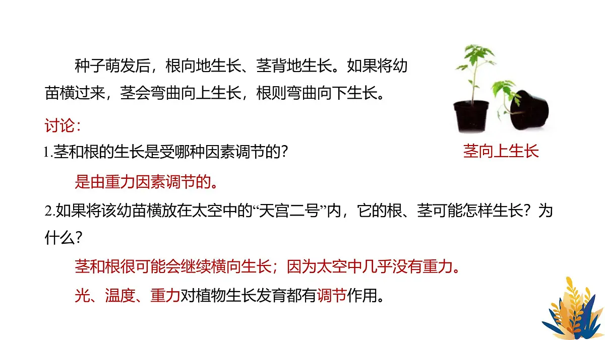 人教版高中生物选修1《5-4 环境因素参与调节植物的生命活动》课件第2页