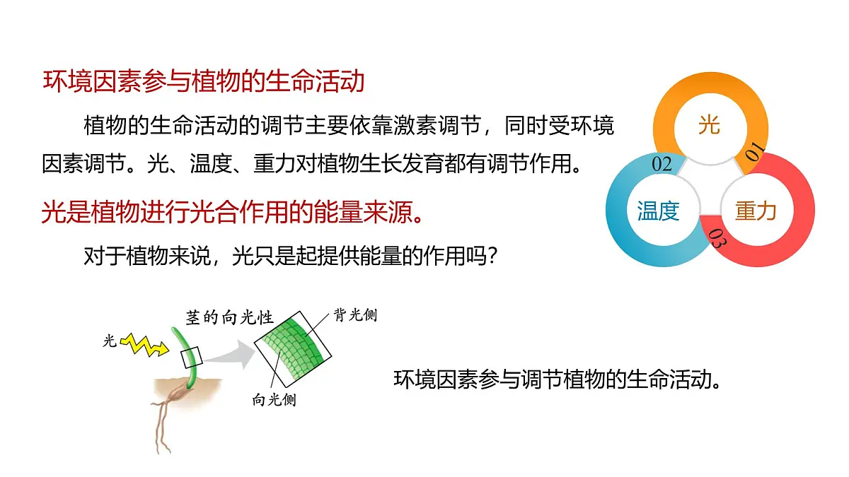 人教版高中生物选修1《5-4 环境因素参与调节植物的生命活动》课件第4页