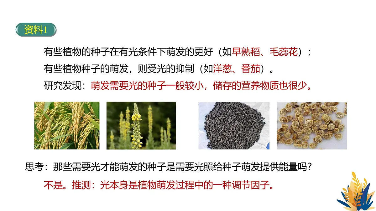 人教版高中生物选修1《5-4 环境因素参与调节植物的生命活动》课件第5页