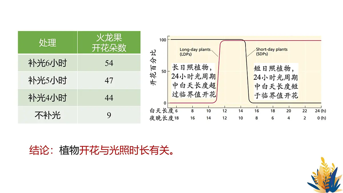 人教版高中生物选修1《5-4 环境因素参与调节植物的生命活动》课件第8页