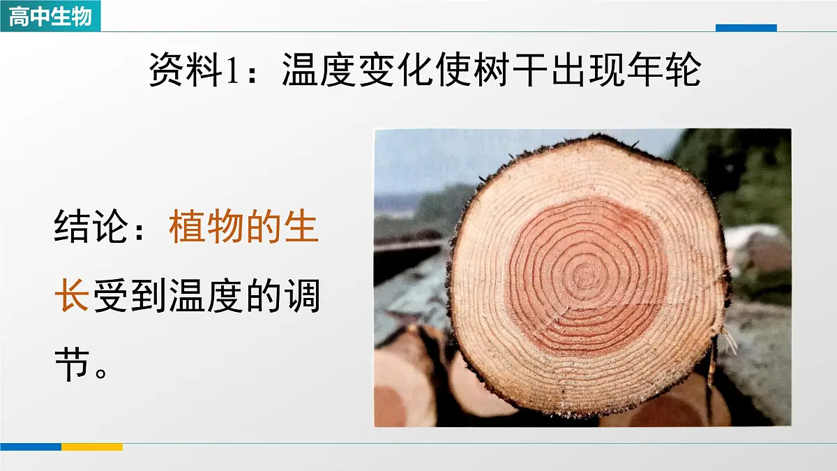 人教版高中生物选修1《环境因素参与调节植物的生命活动(第二课时)》课件第3页