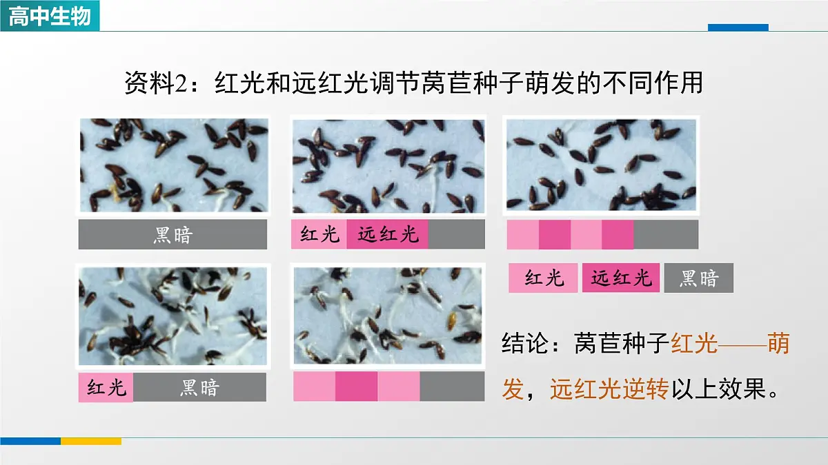人教版高中生物选修1 5-4《环境因素参与调节植物的生命活动(第一课时)》课件第8页