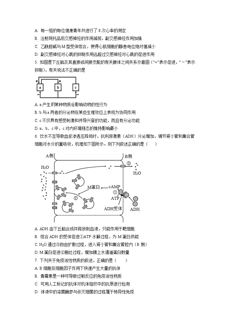 高二上学期期中考试 人教版生物 无答案第2页